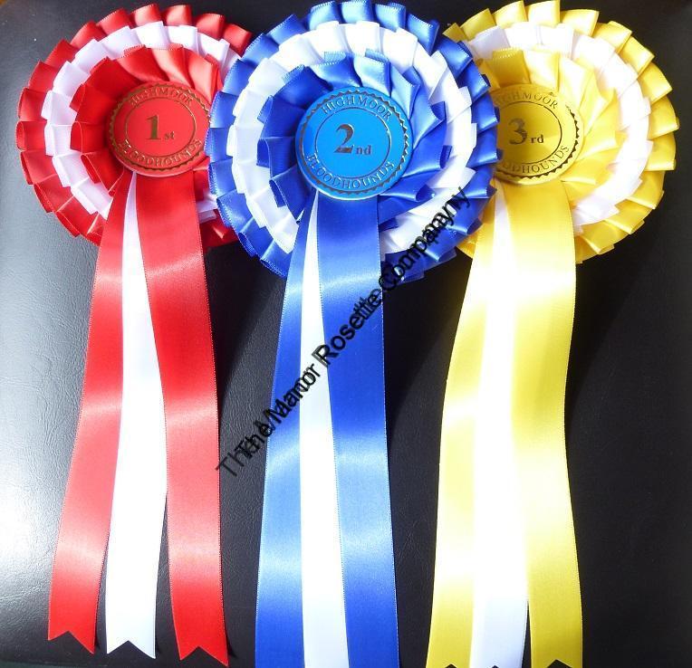 *1st 4th Place 2 Tier Rosettes Horse Show Gymkhana Pony Party Dog Show 