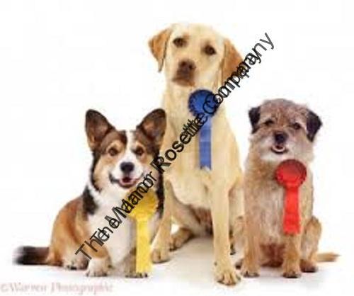 dogs 2