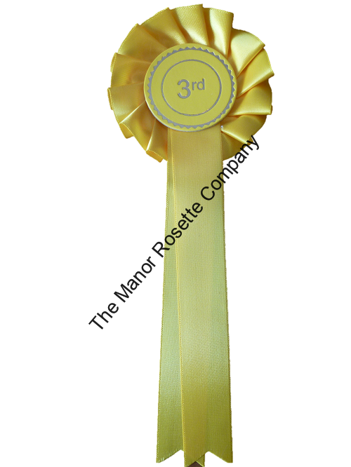 1 tier 3rd place white backg website