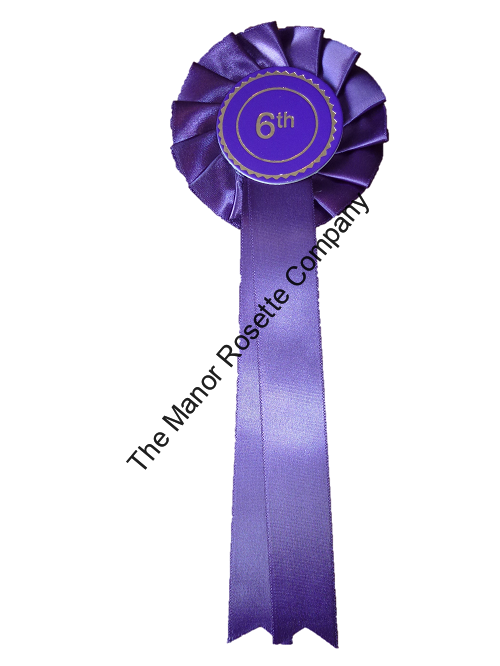 1 tier 6th place white backg website