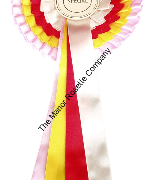 4 Tier Kent Personalised Special Rainbow Rosette