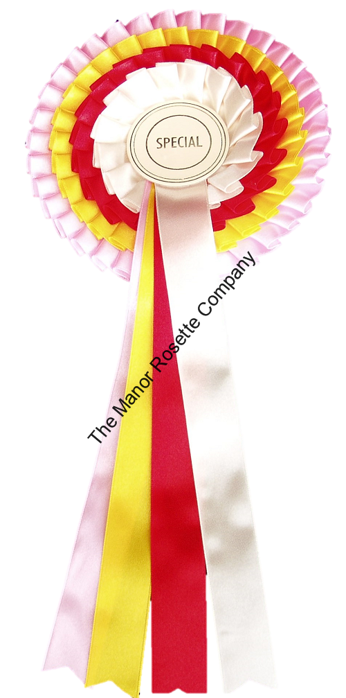 4 Tier Kent Personalised Special Rainbow Rosette