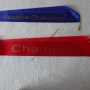 Stock Sashes